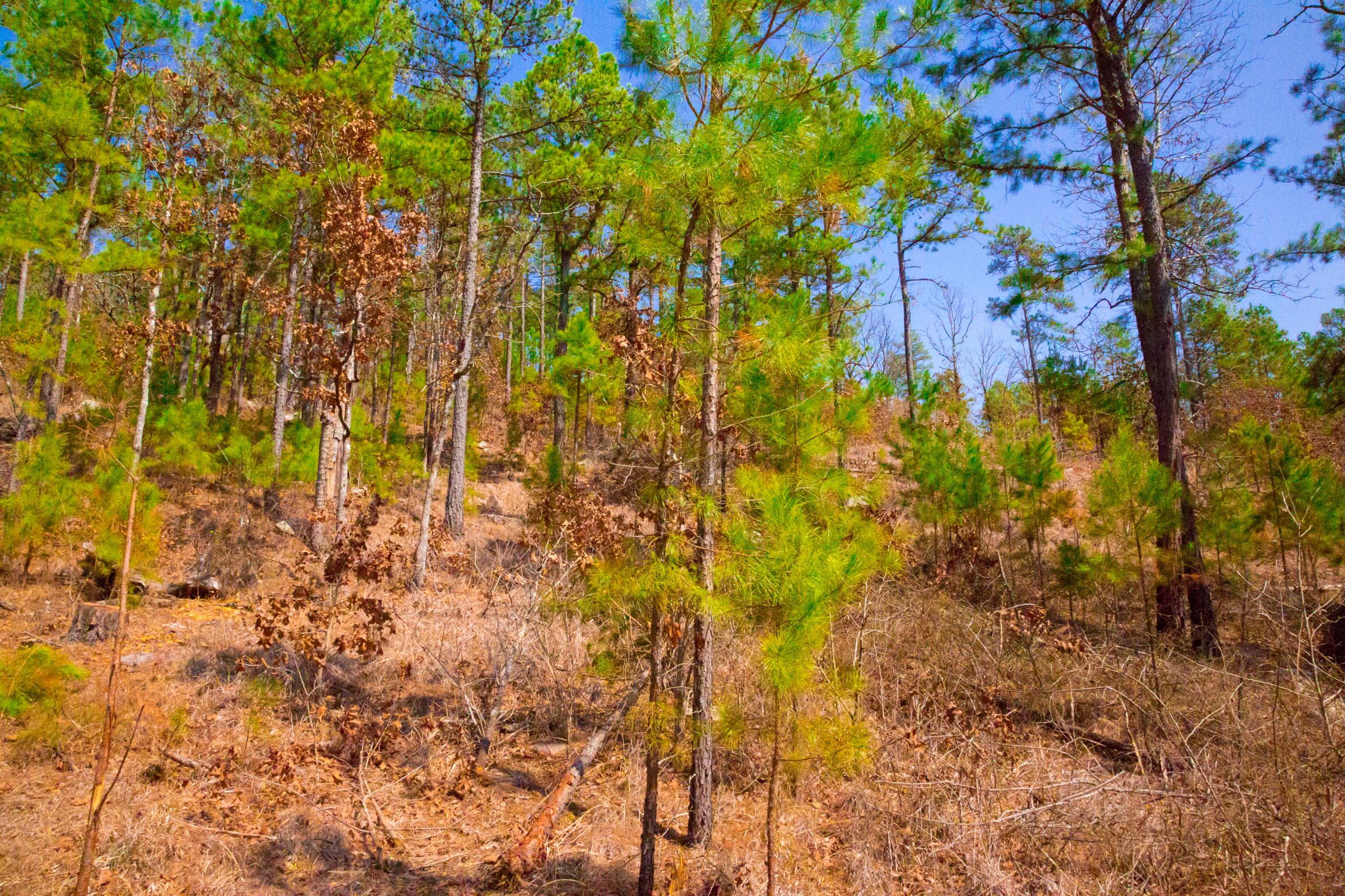 Tract 123 at Stone Creek Phase II in Latimer County, Oklahoma