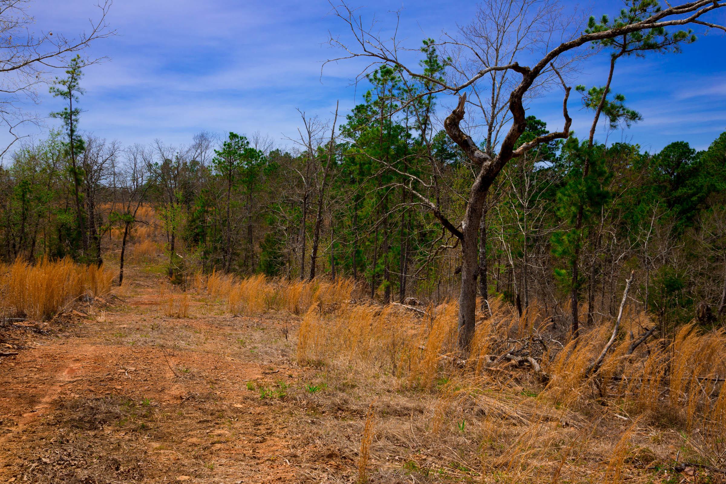 Tract 198 at Stone Creek Phase II in Latimer County, Oklahoma