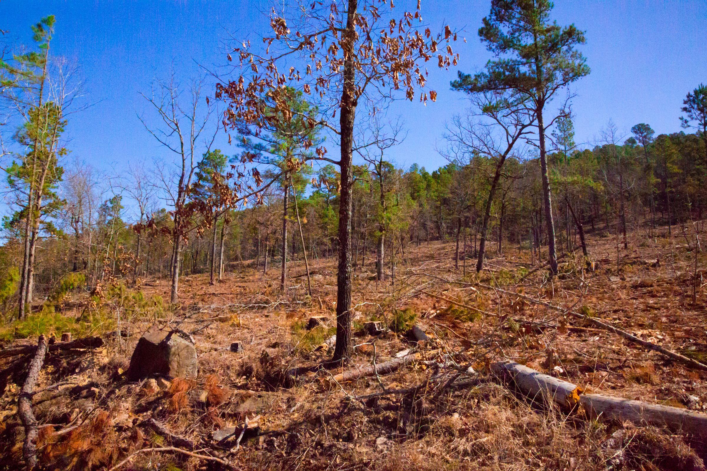 Tract 201 at Stone Creek Phase II in Latimer County, Oklahoma