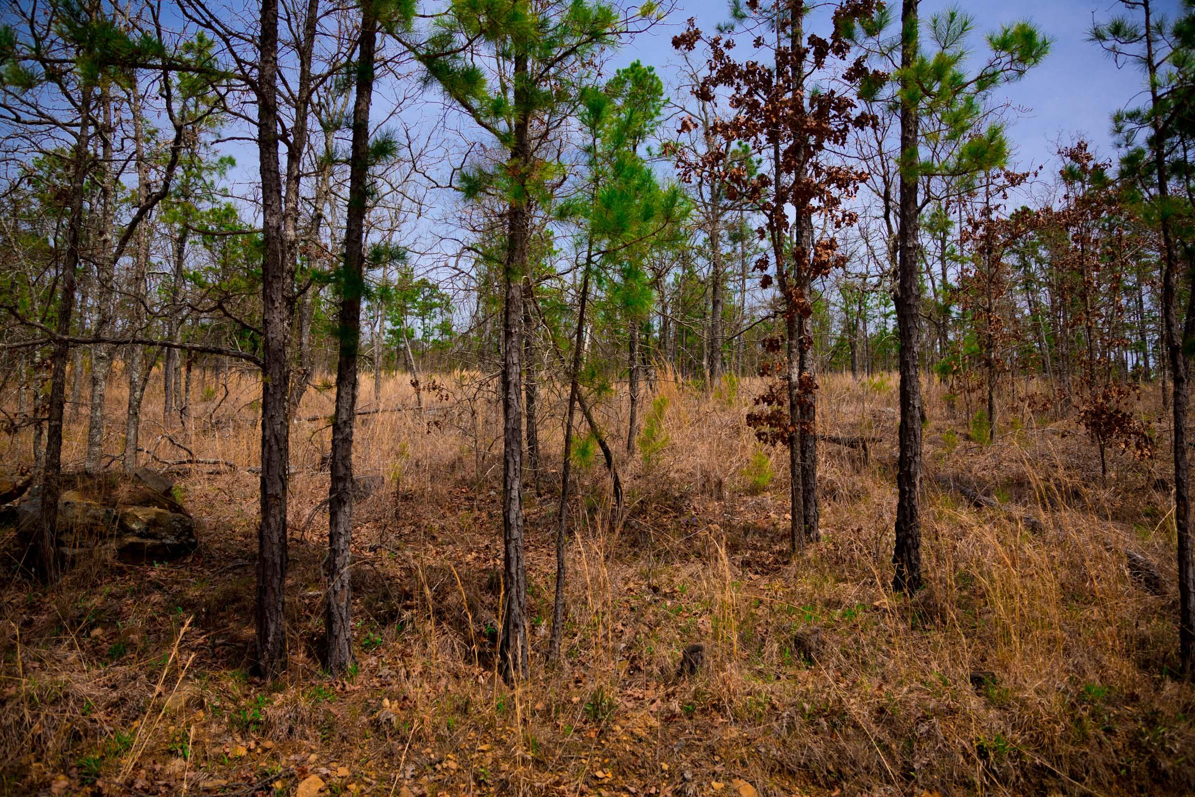 Tract 204 at Stone Creek Phase II in Latimer County, Oklahoma