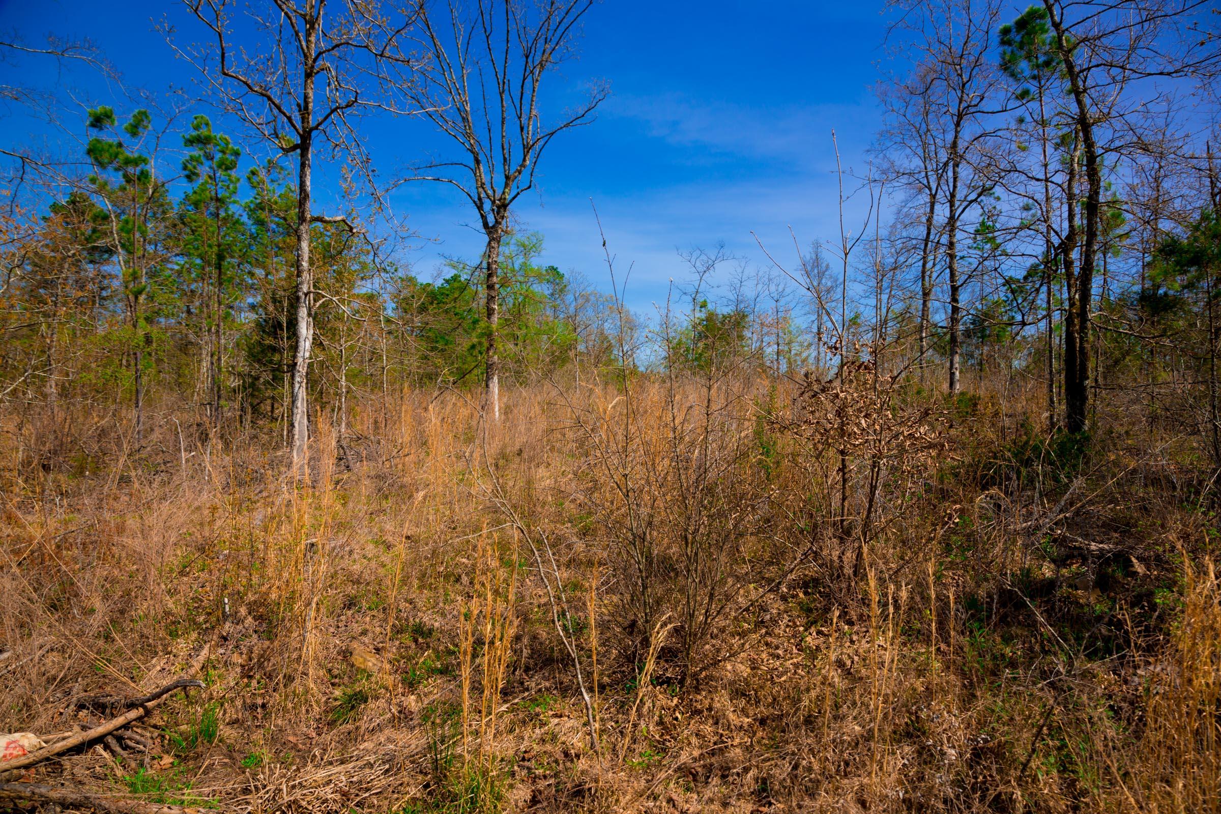 Tract 219 at Stone Creek Phase II in Latimer County, Oklahoma