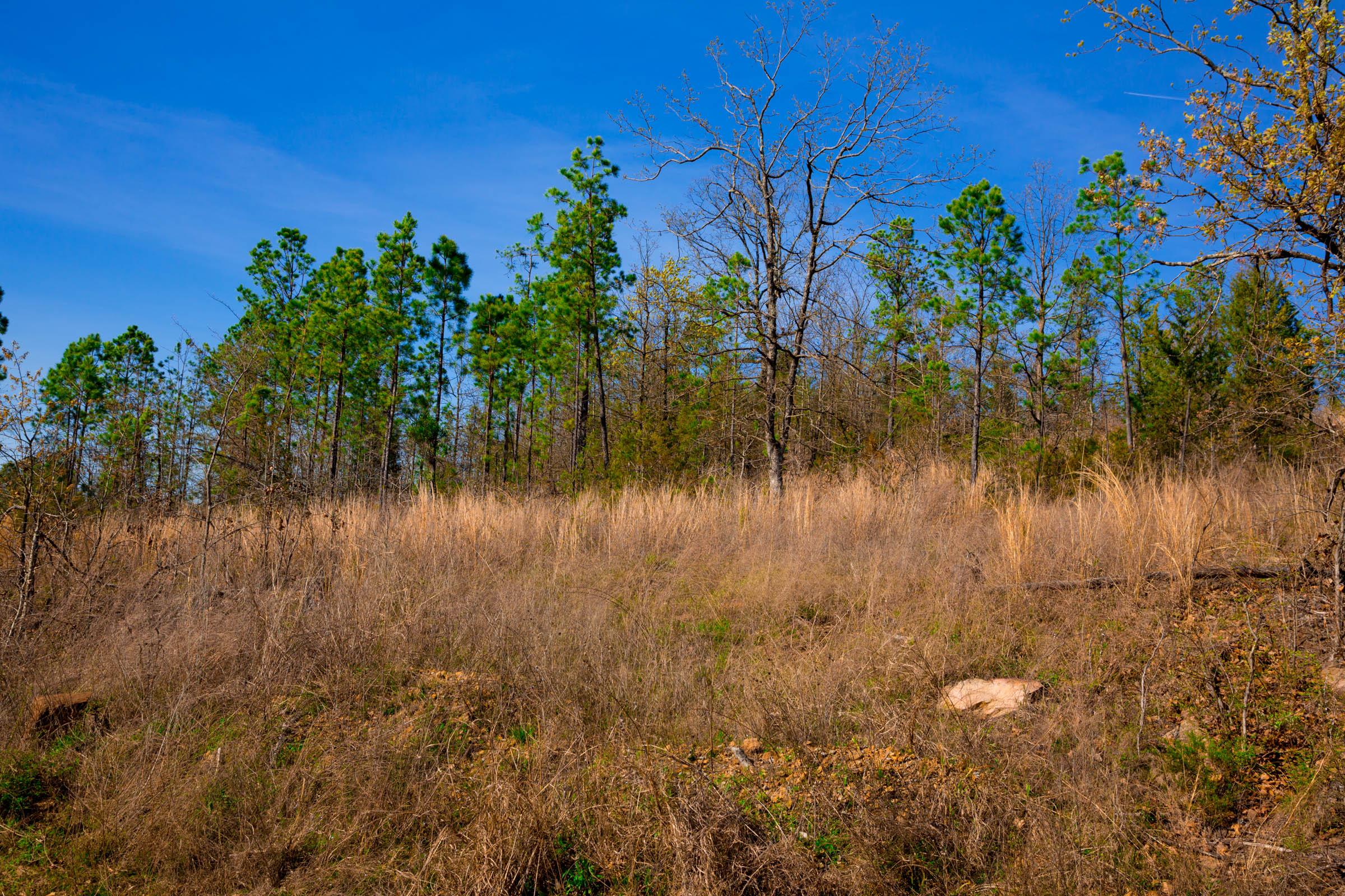 Tract 225 at Stone Creek Phase II in Latimer County, Oklahoma