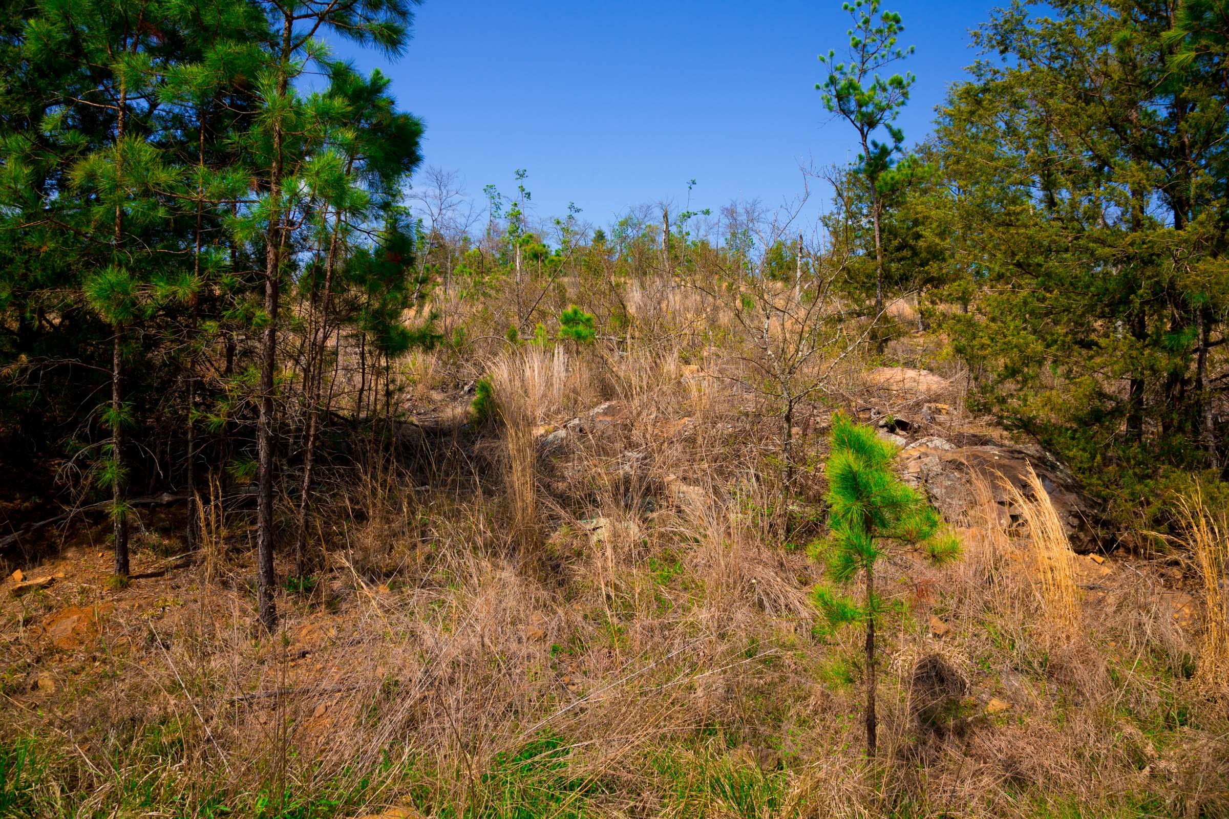 Tract 228 at Stone Creek Phase II in Latimer County, Oklahoma