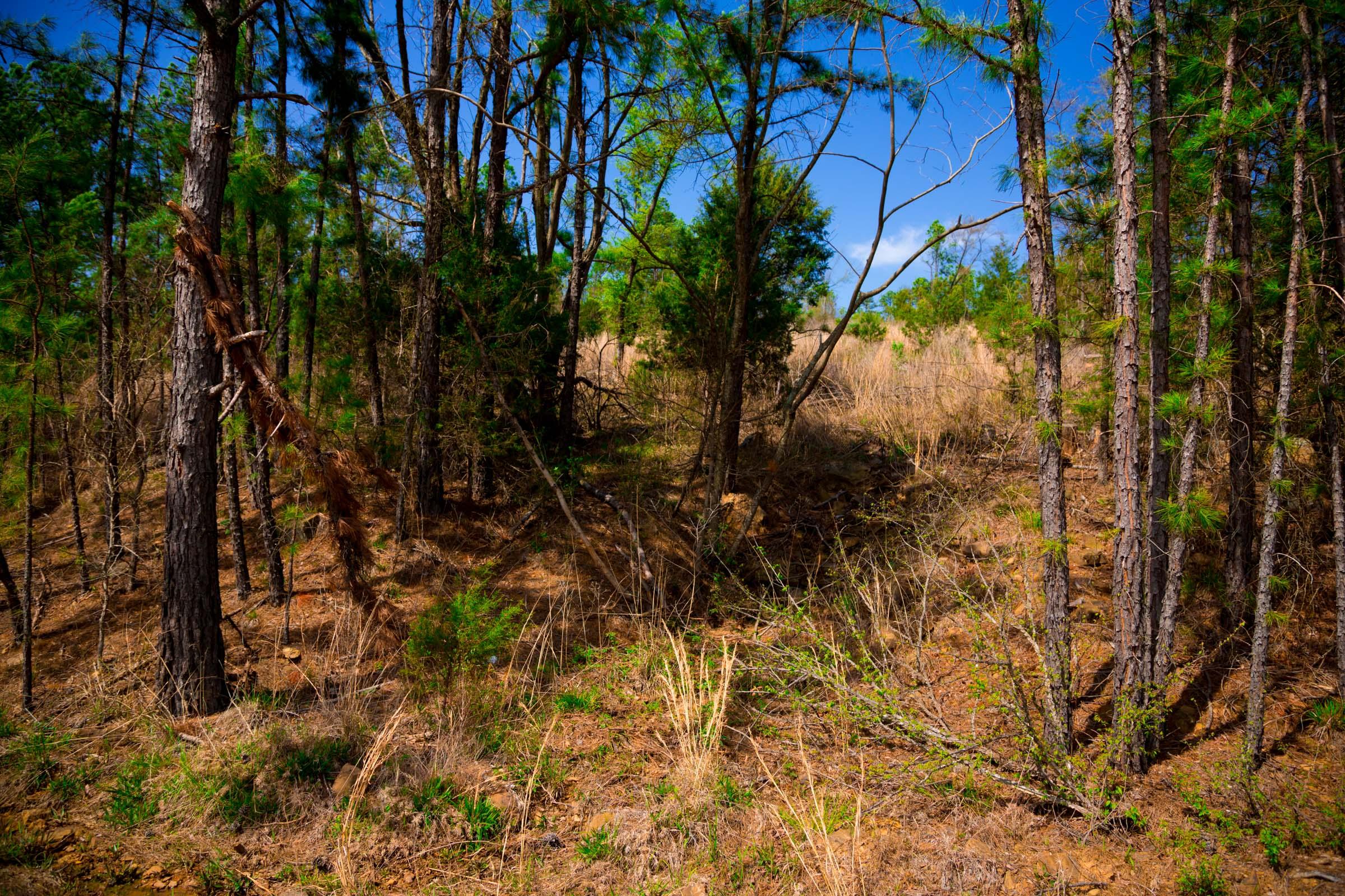 Tract 229 at Stone Creek Phase II in Latimer County, Oklahoma