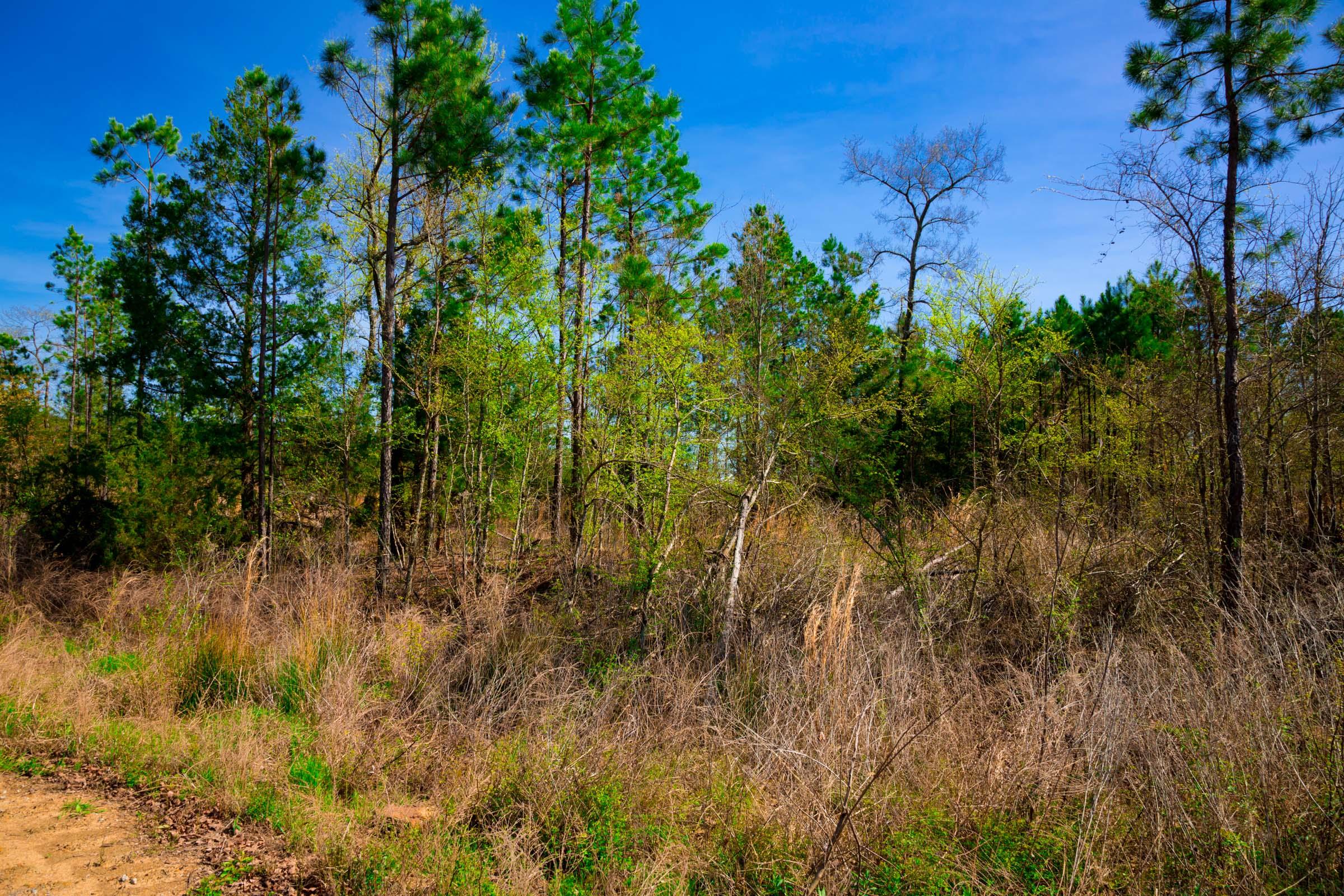 Tract 230 at Stone Creek Phase II in Latimer County, Oklahoma
