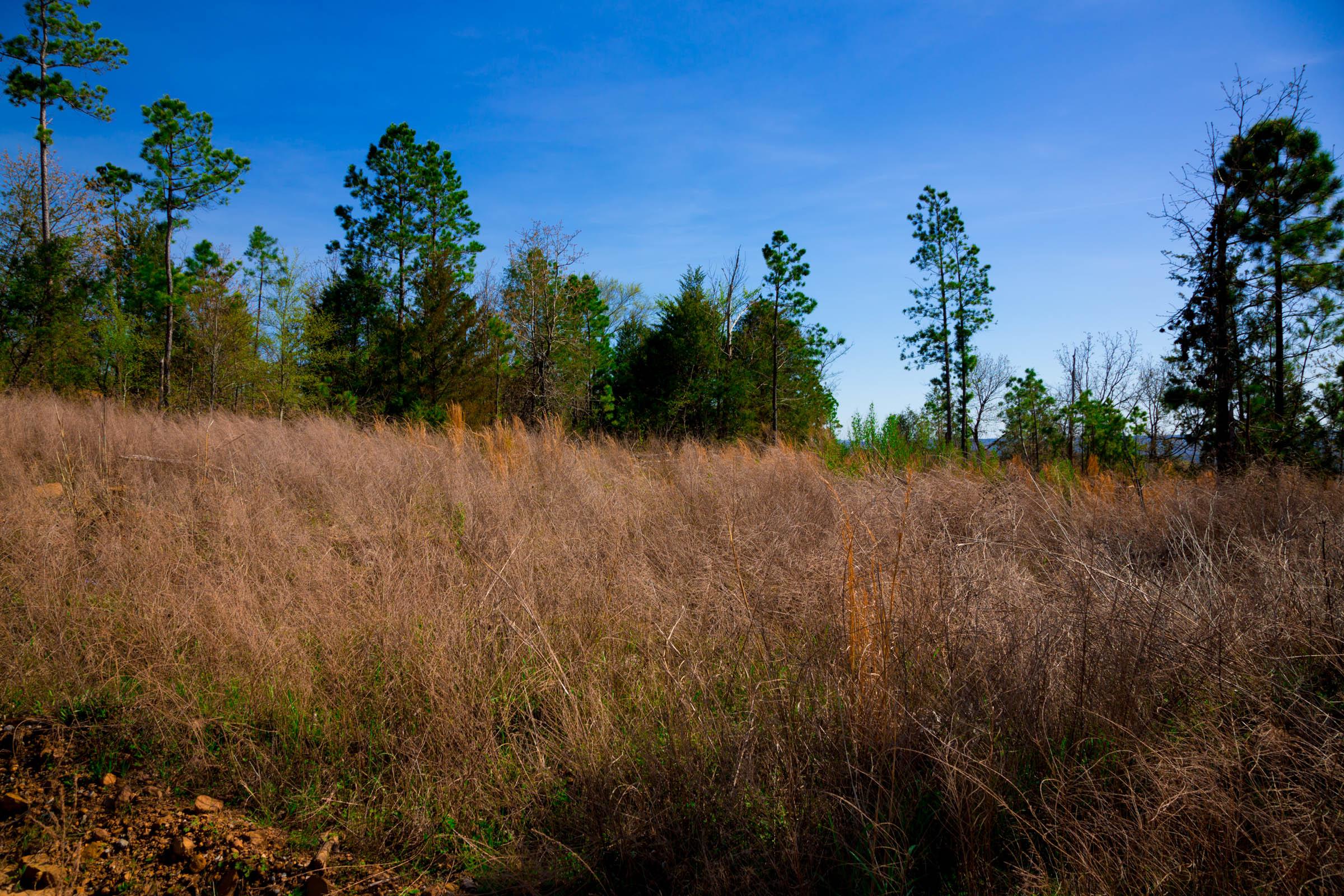 Tract 233 at Stone Creek Phase II in Latimer County, Oklahoma