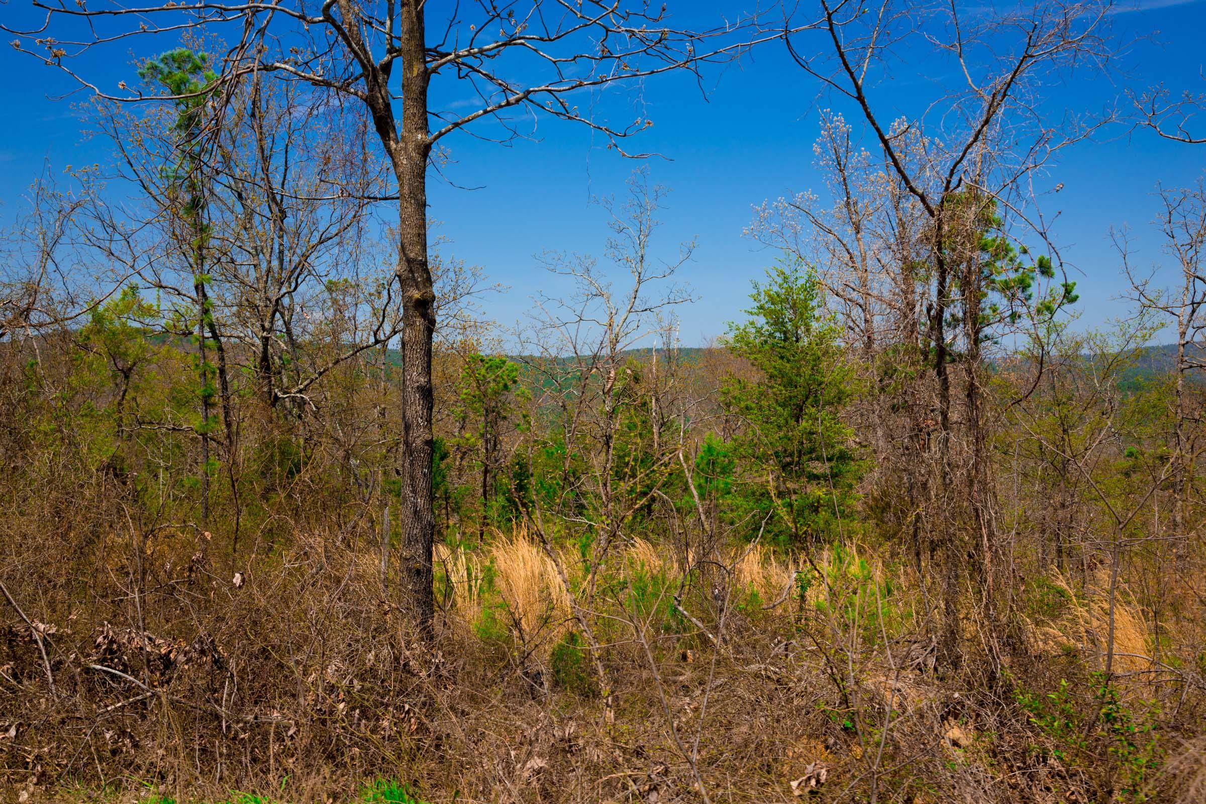 Tract 234 at Stone Creek Phase II in Latimer County, Oklahoma