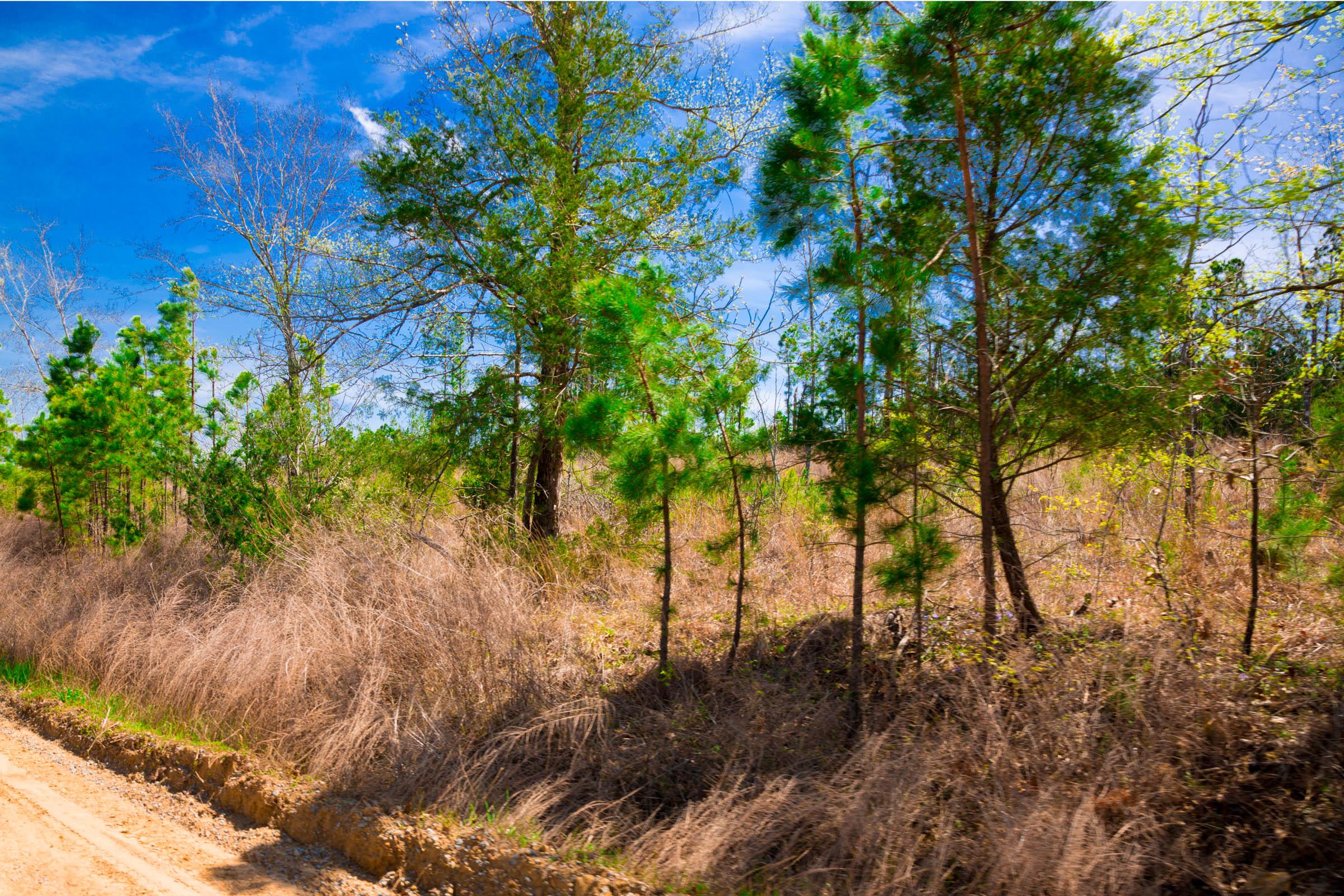 Tract 244 at Stone Creek Phase II in Latimer County, Oklahoma