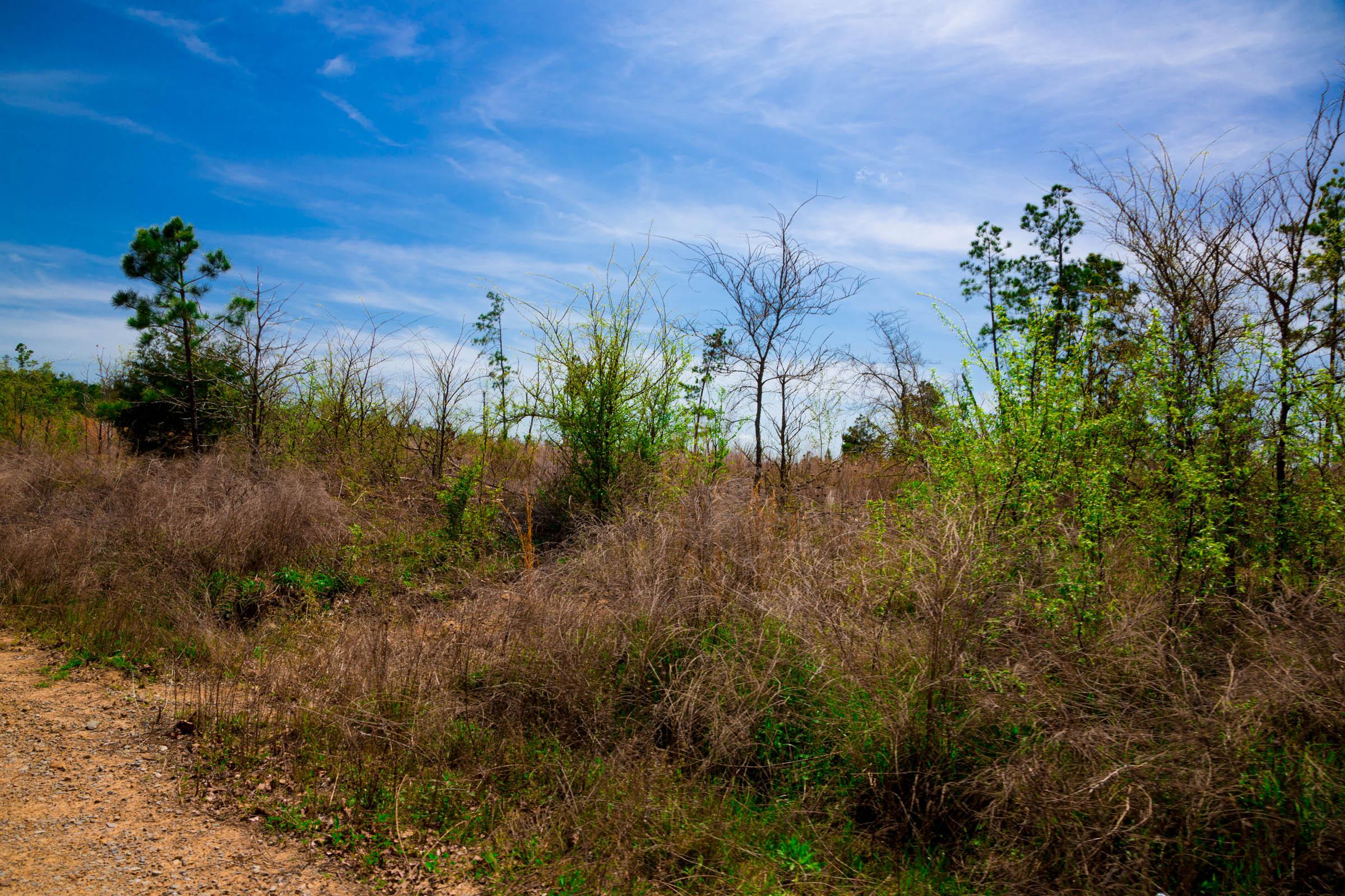 Tract 245 at Stone Creek Phase II in Latimer County, Oklahoma