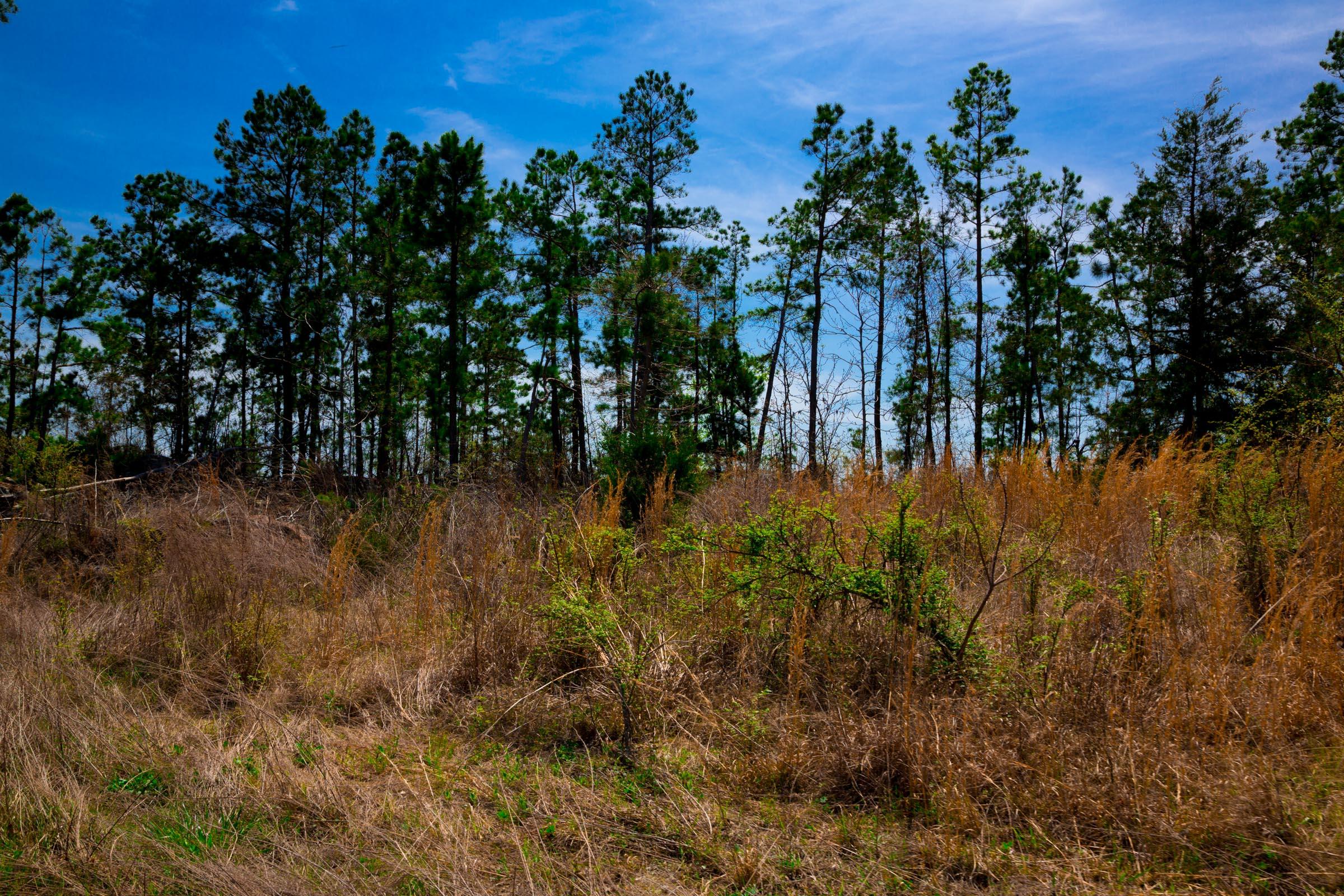 Tract 249 at Stone Creek Phase II in Latimer County, Oklahoma