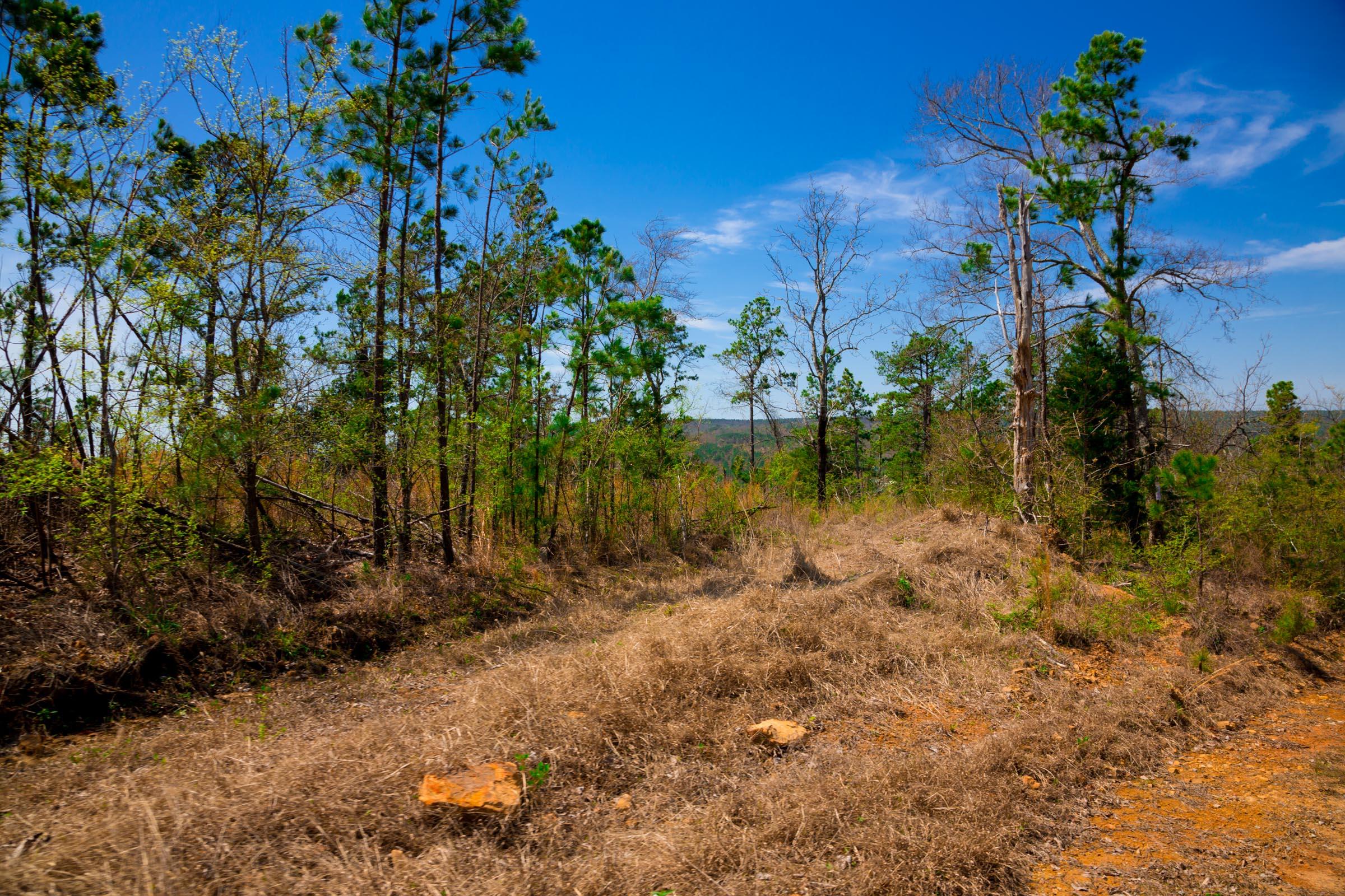 Tract 250 at Stone Creek Phase II in Latimer County, Oklahoma