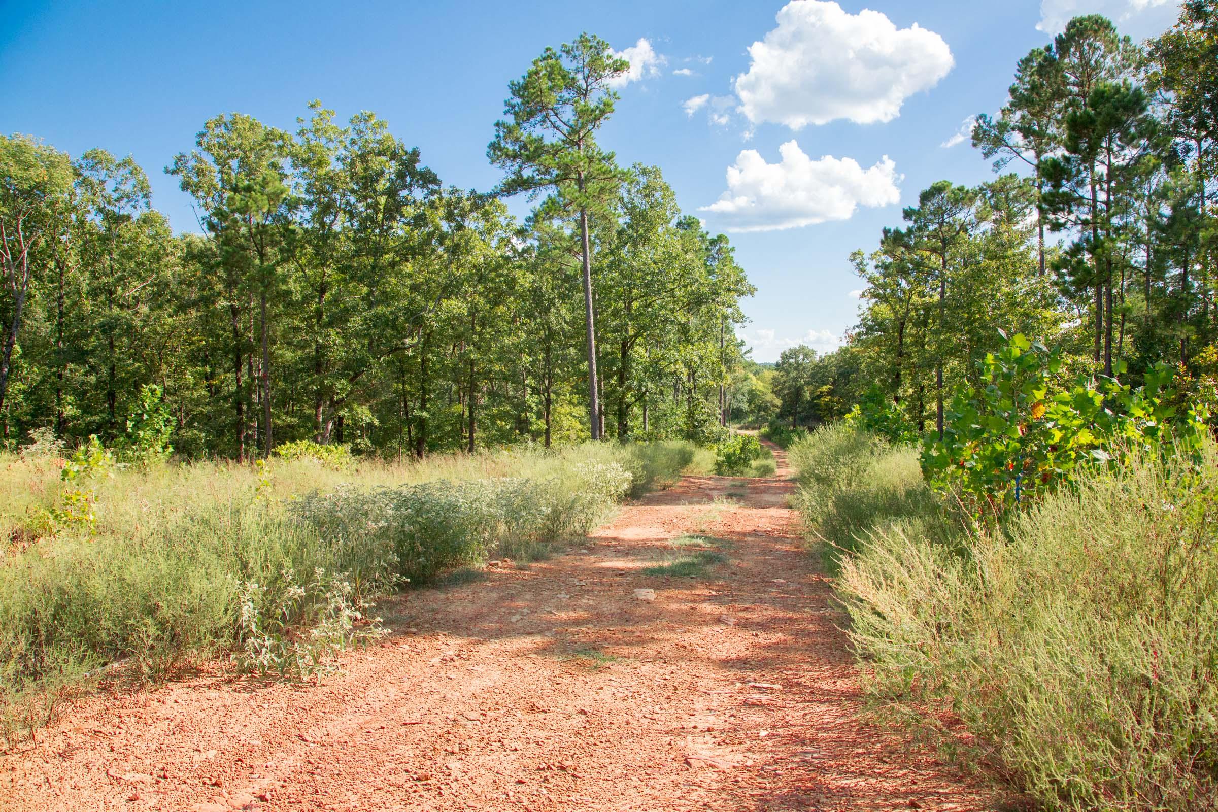 Tract 267 at Stone Creek Phase II in Latimer County, Oklahoma