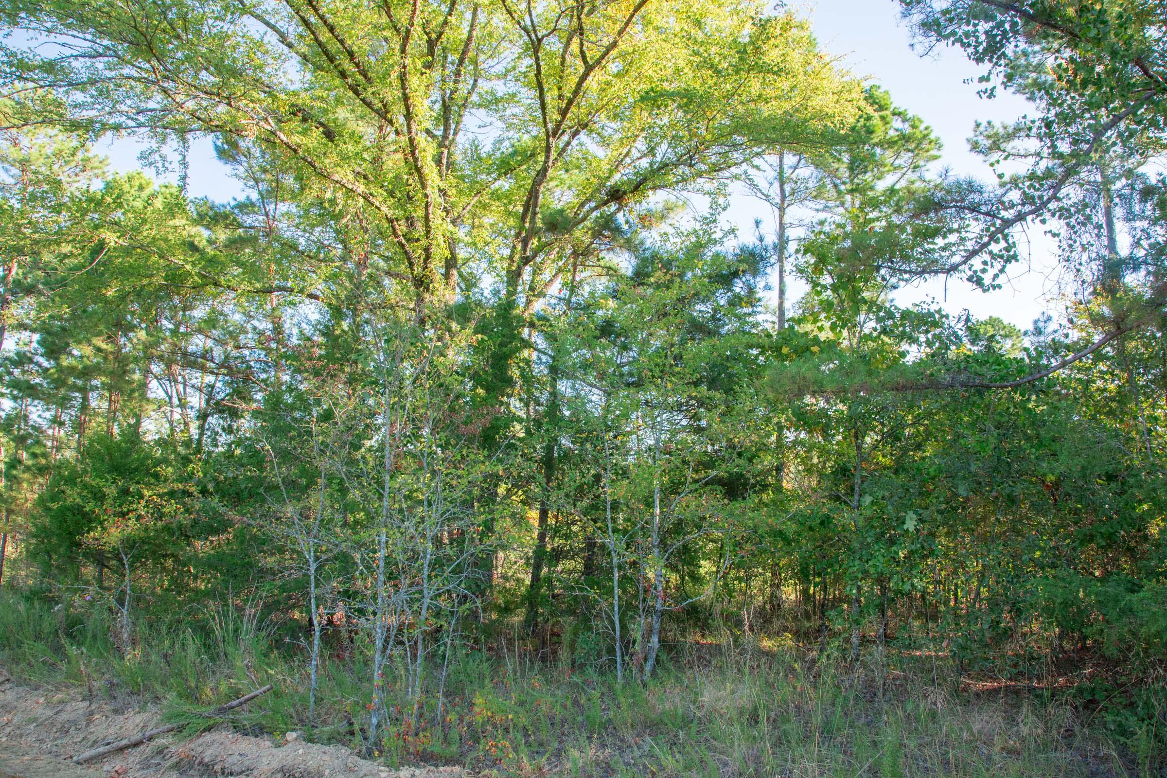 Tract 271 at Stone Creek Phase II in Latimer County, Oklahoma