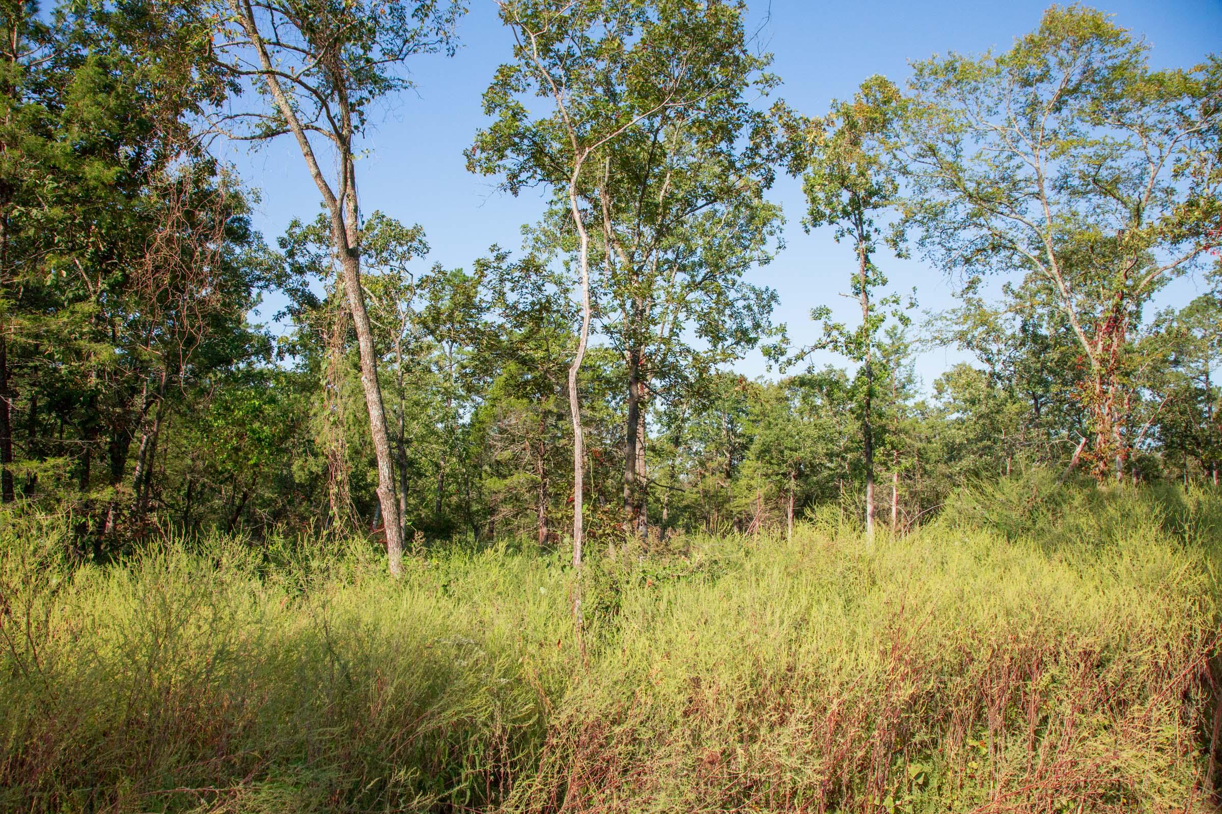 Tract 273 at Stone Creek Phase II in Latimer County, Oklahoma